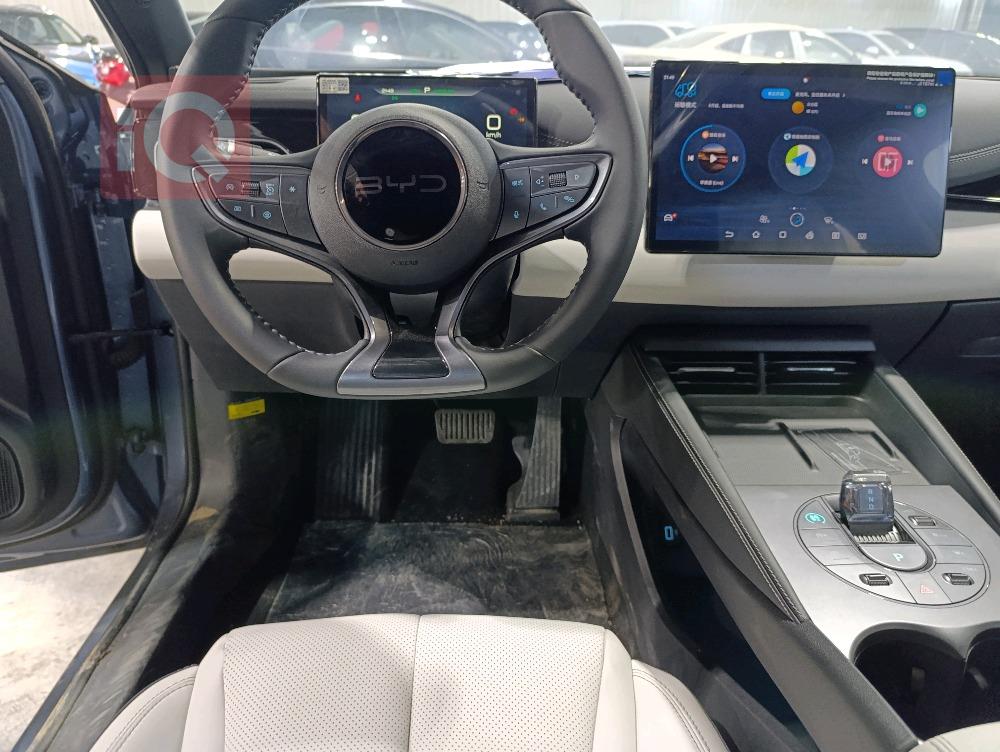 بي واي دي سيل 06 DM-i